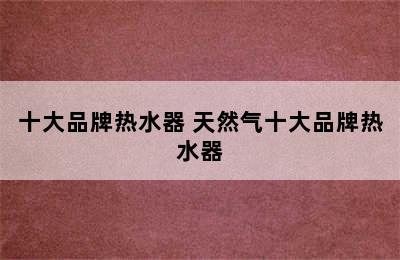 十大品牌热水器 天然气十大品牌热水器